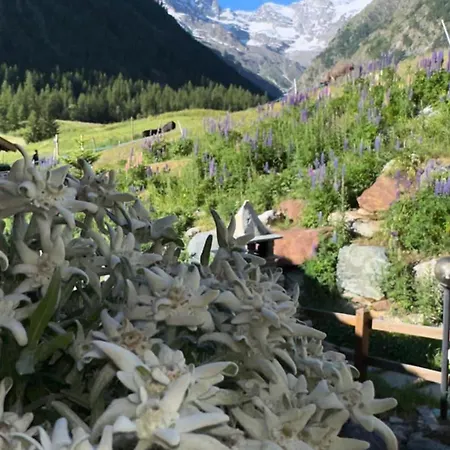 Paradisia Ξενοδοχείο *