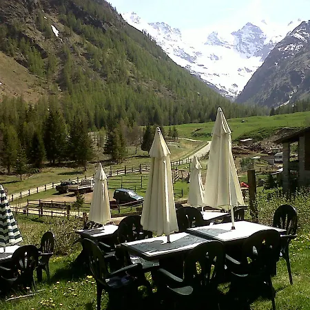 Paradisia Cogne