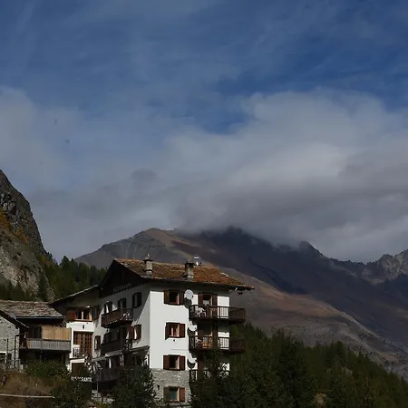 Paradisia Cogne