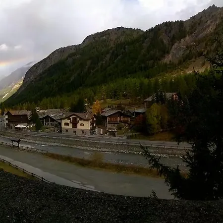 Paradisia Cogne